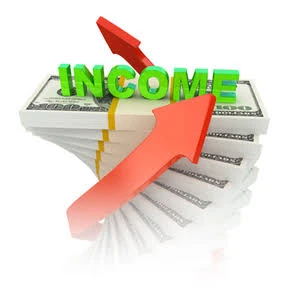 Income website Script